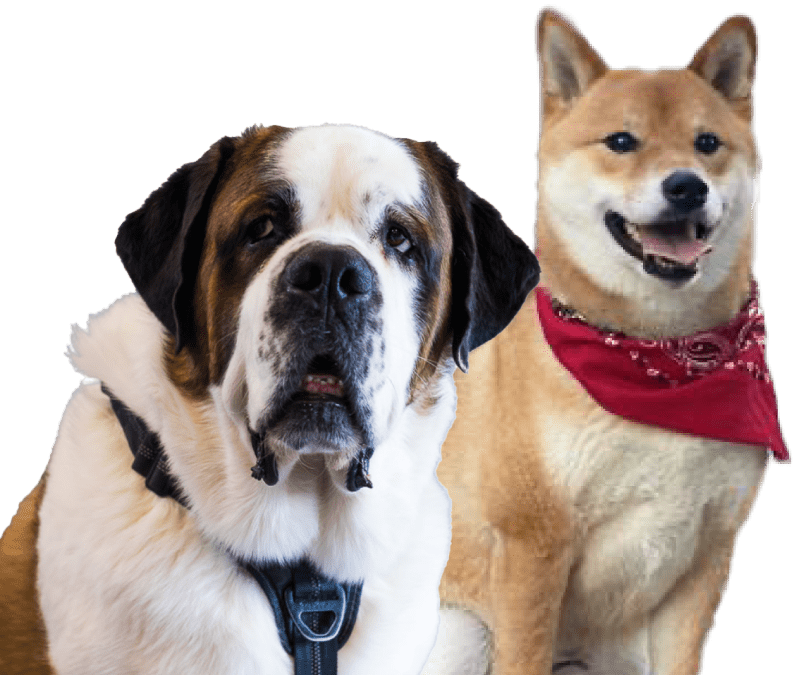 Marvin & Jax
