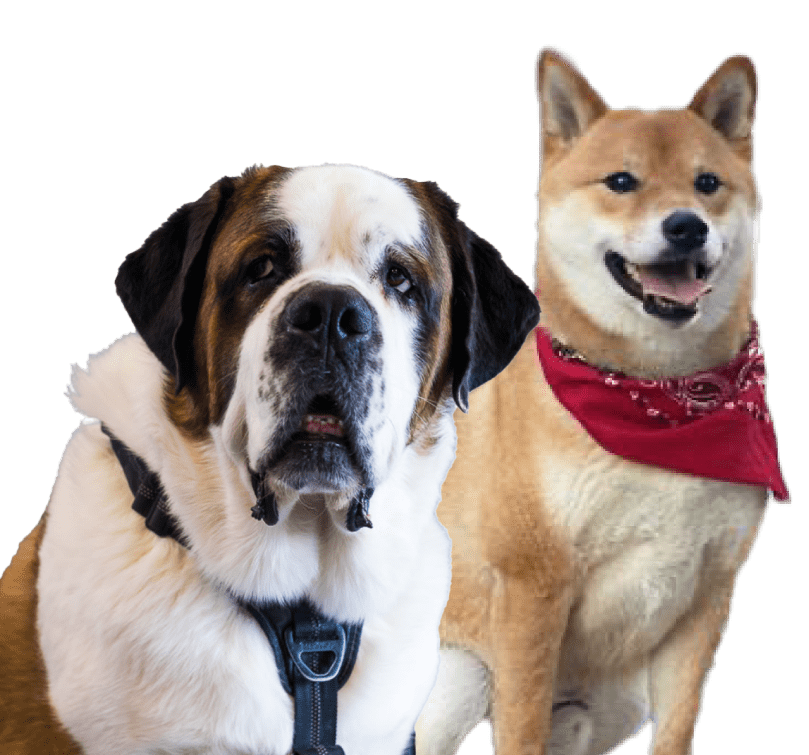 Marvin & Jax